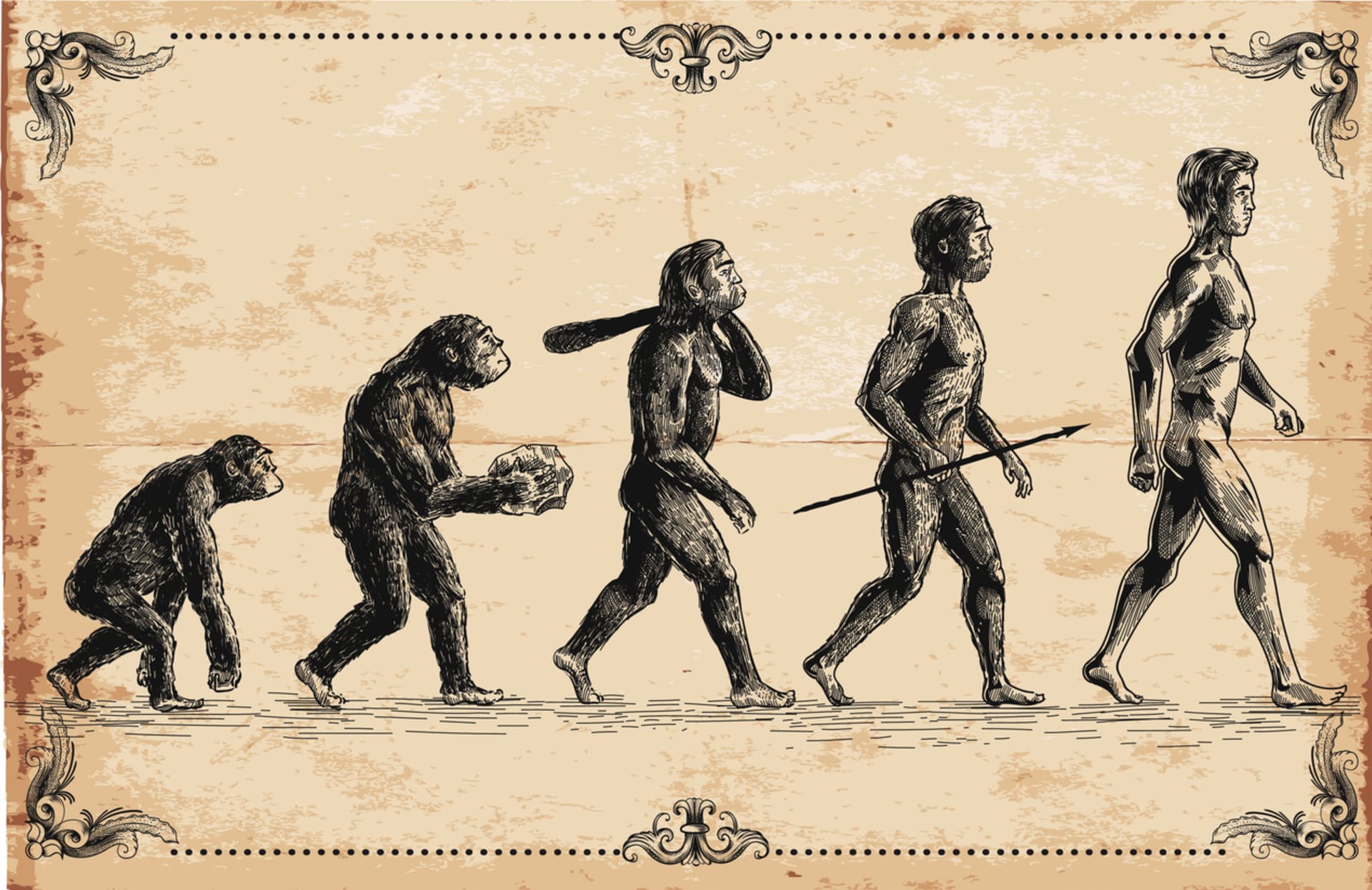 Evoluce nás o ocas připravila před 25 miliony let