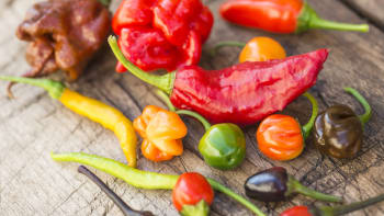 Seznamte se s  různými druhy chilli. Které zvládnete a po kterých vám půjde o život?