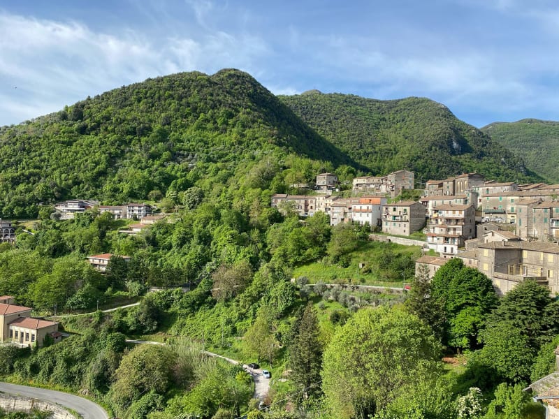 Domy v italském městě Patrica by mohly být k mání za jedno euro.