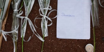 Smrt, kóma a zlomeniny v obličeji. Francií otřásají útoky na děti, roli hrají i sociální sítě