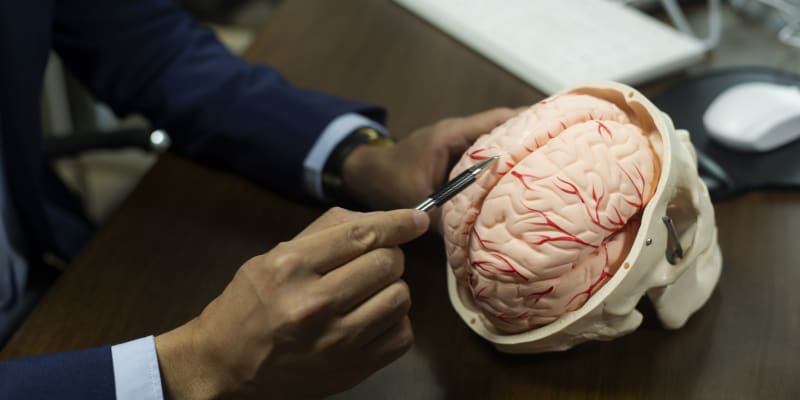 Transplantace mozku je zatím možná jen ve sci-fi 