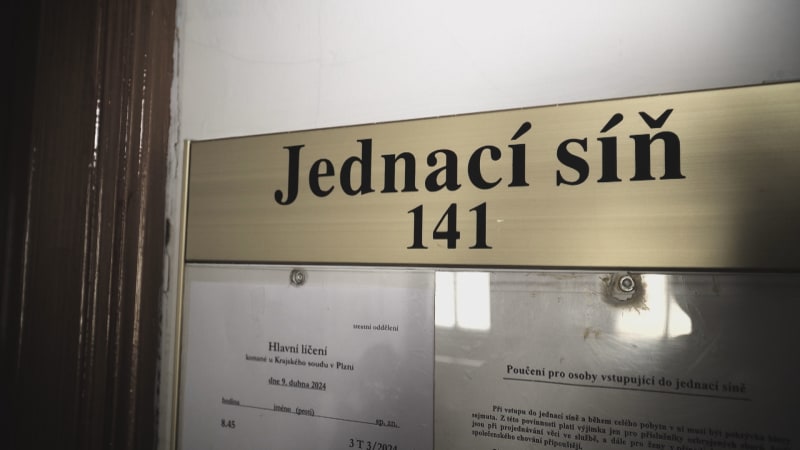 V Plzni začal soud s mužem, který měl znásilňovat 5letou dívku.