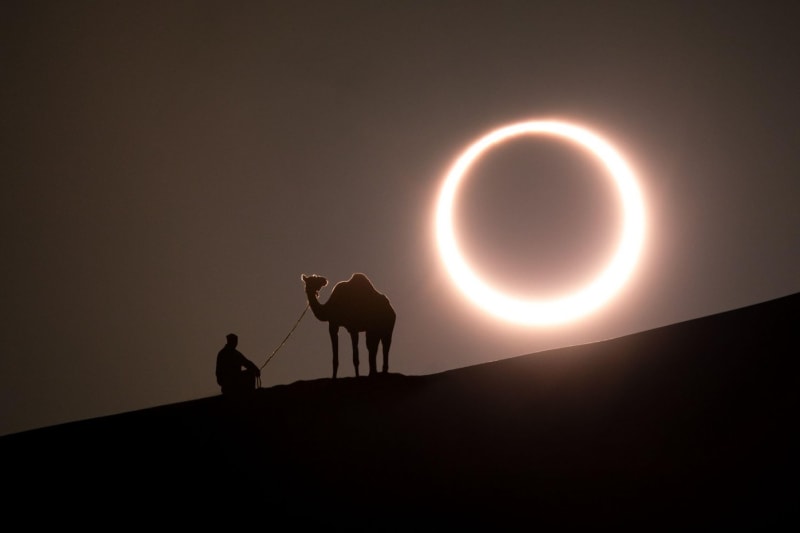 Silueta velblouda během zatmění slunce v poušti v Arabských emirátech v roce 2019