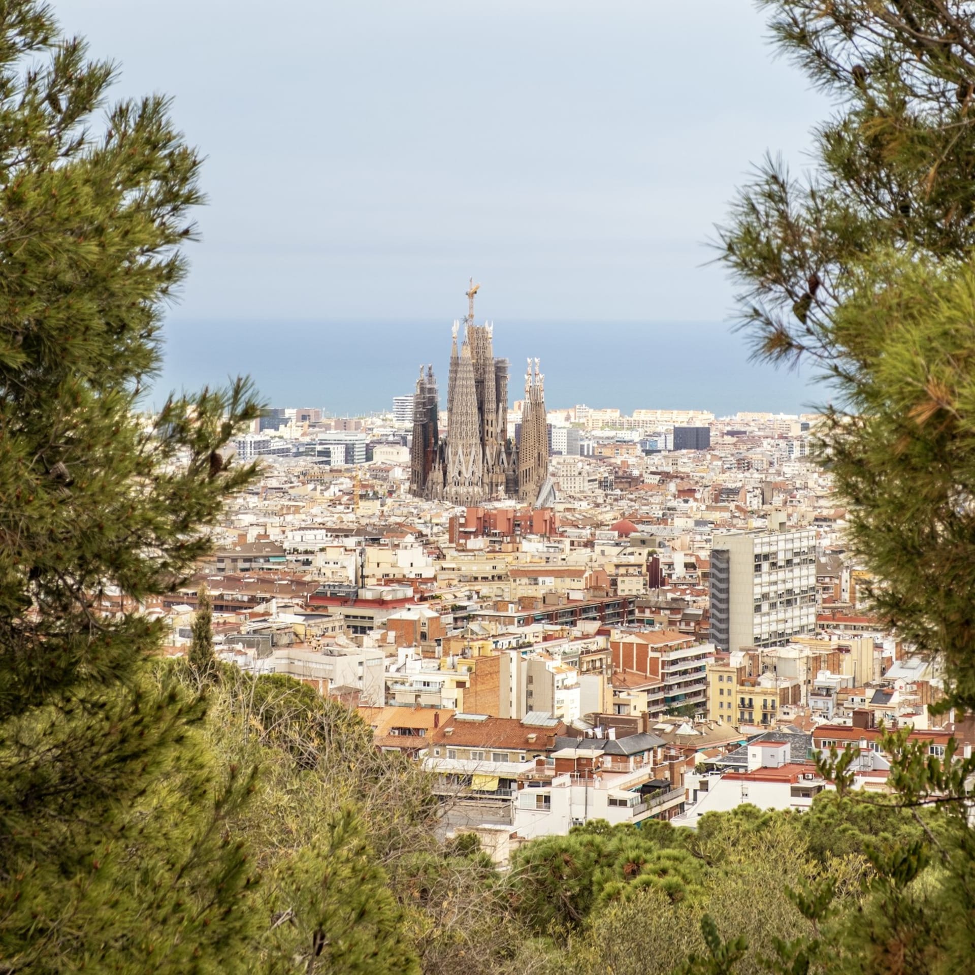Barcelona patří mezi nejlepší města na světě pro pěší.