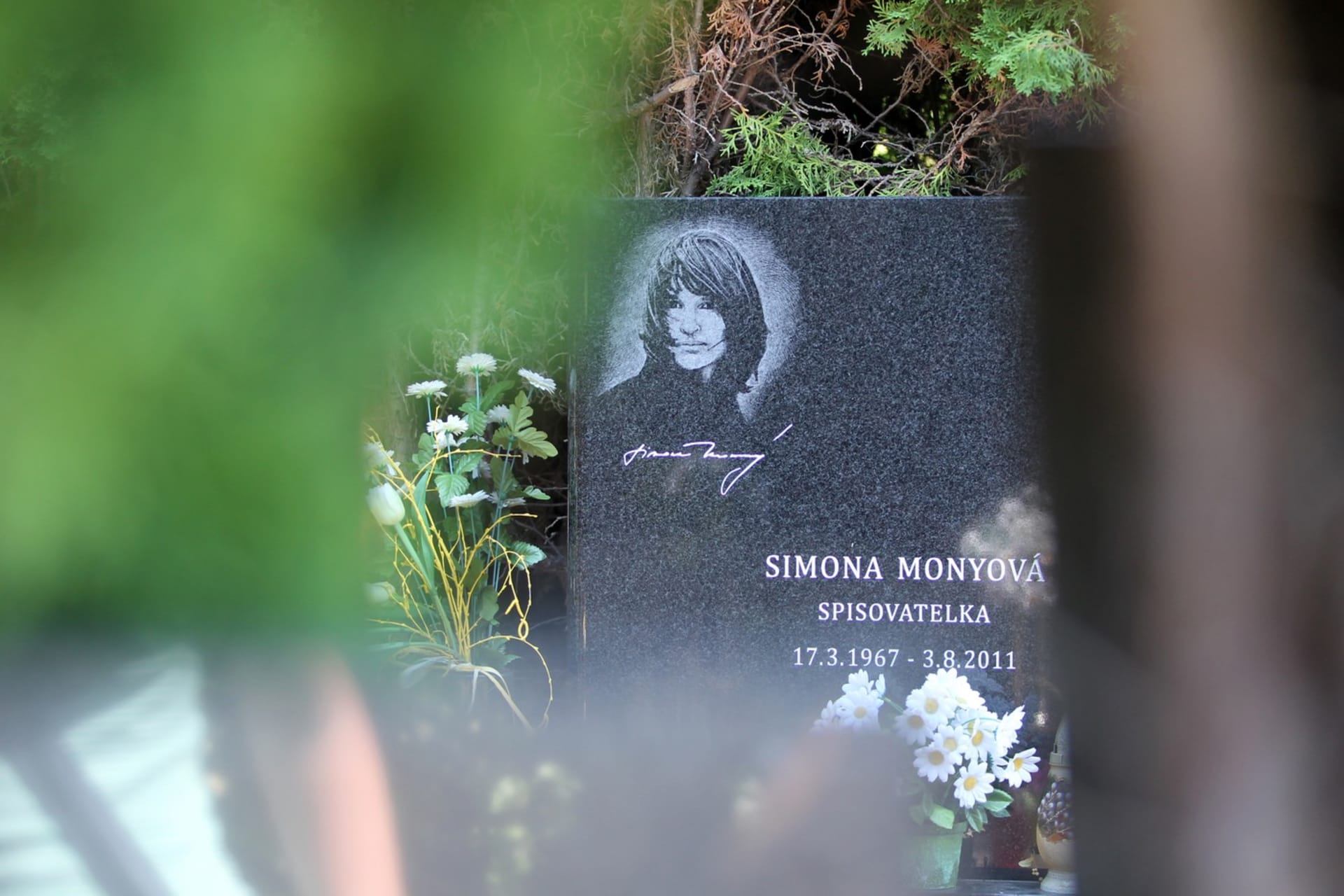 Hrob Simony Moynové