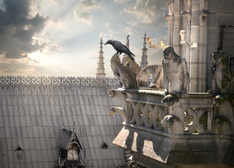 Ikoničtí démoni na ochozu jedné z věží katedrály Notre-Dame