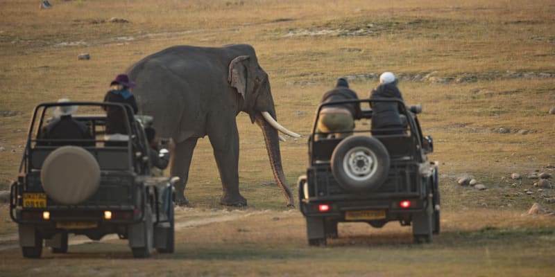 Auta jsou proti slonovi velice malá