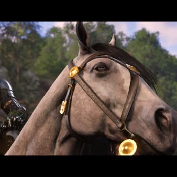 České studio Warhorse představilo Kingdom Come: Deliverance II