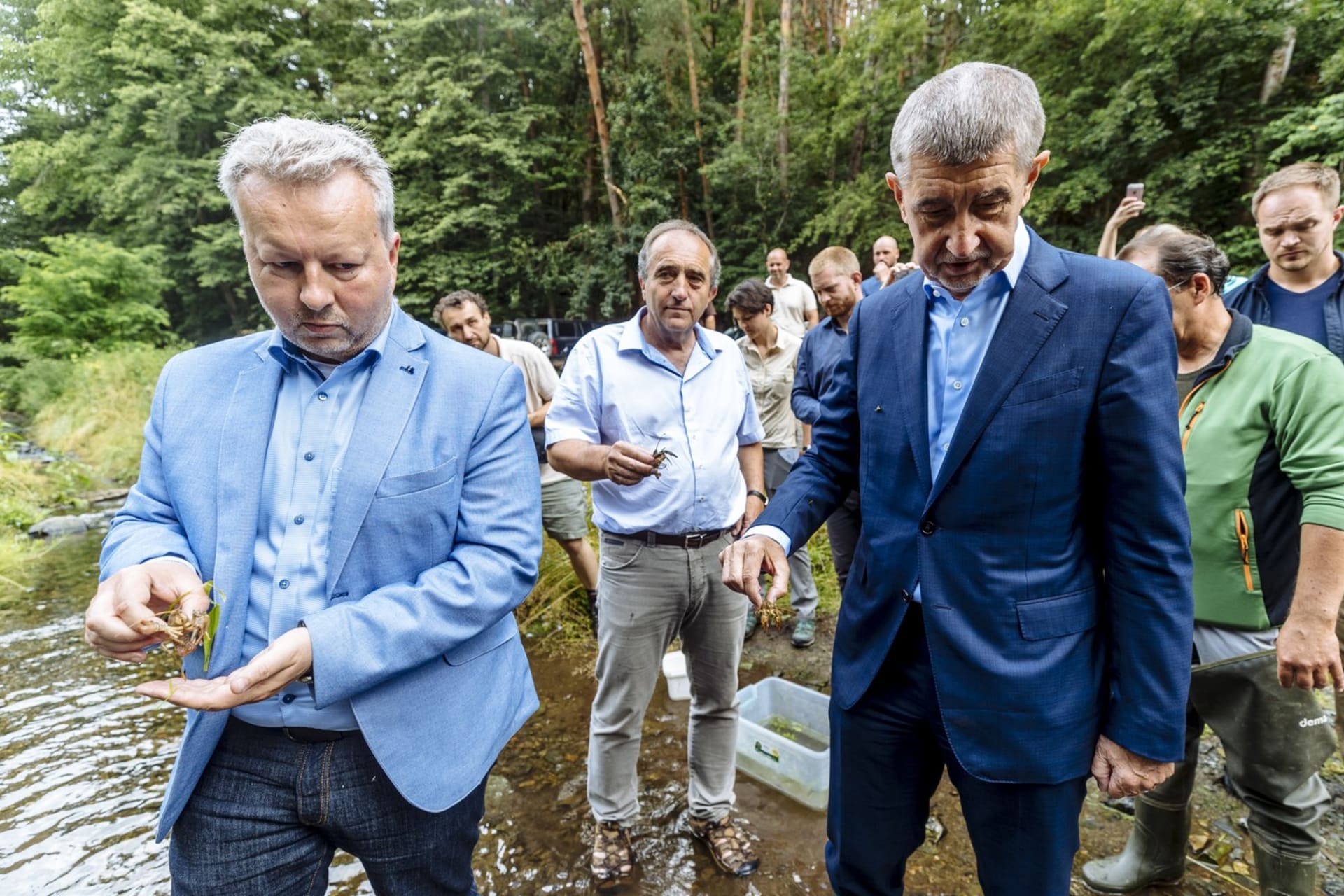 Premiér Andrej Babiš a ministr životního prostředí Richard Brabec se v červenci 2020 zúčastnili akce na záchranu 70 dospělých raků kamenáčů z křivoklátského Stroupinského potoka, který byl zasažen smrtelným račím morem.