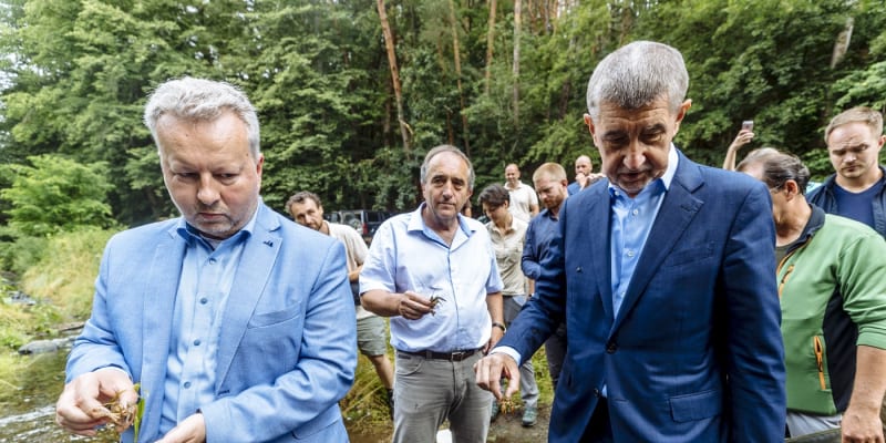 Premiér Andrej Babiš a ministr životního prostředí Richard Brabec se v červenci 2020 zúčastnili akce na záchranu 70 dospělých raků kamenáčů z křivoklátského Stroupinského potoka, který byl zasažen smrtelným račím morem.