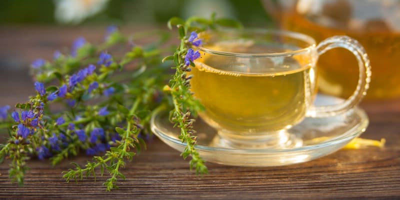  Z kvetoucí natě yzopu je výborný čaj. Nebo si můžeme zkusit vyrobit domácí yzopový sirup proti kašli.