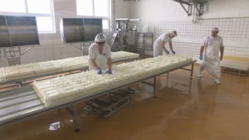 Mléčné výrobky pod drobnohledem: Kvalita se zlepšuje, obchody přesto dovážejí z Polska