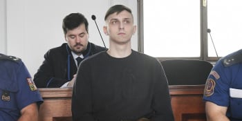Padl trest za znásilnění a pokus o vraždu v Plzni. Mladého Ukrajince čeká 19 let vězení