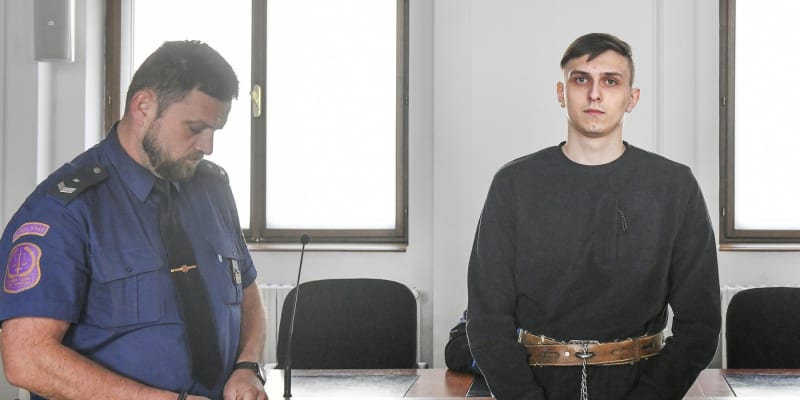 Soud vynesl rozsudek nad Viktorem Veselovským. 