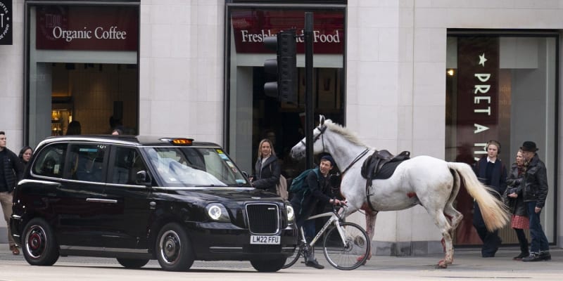 Splašený kůň pobíhá v centru Londýna