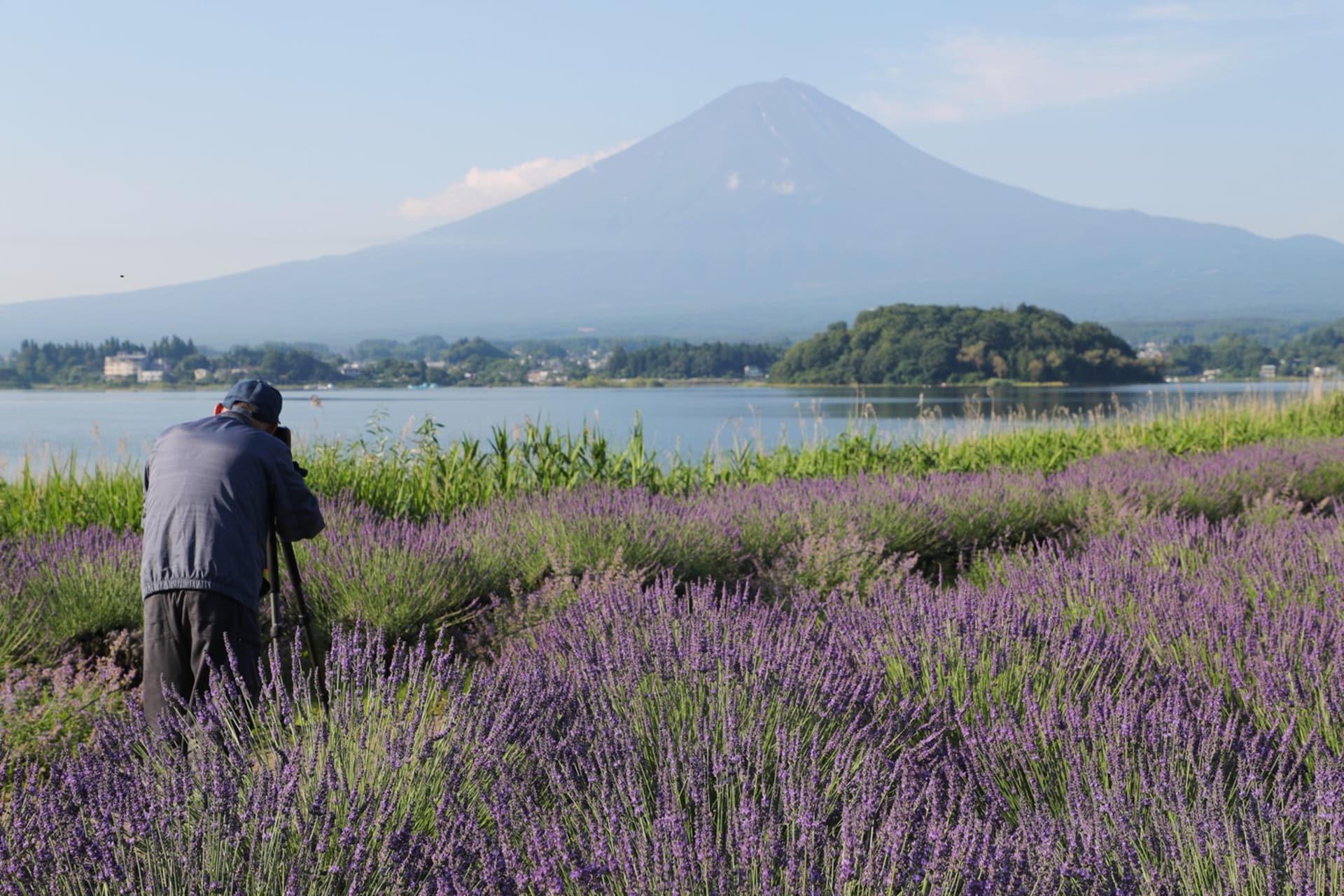 Výhled z města na horu Fudži si turisté rádi fotografují. 