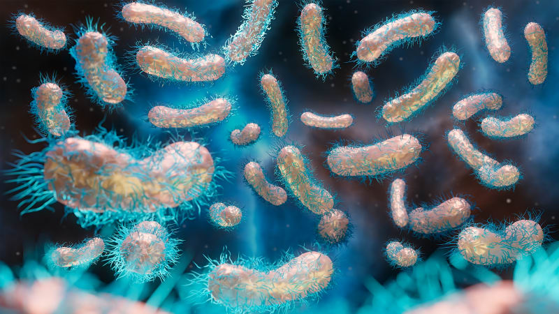 Nebezpečná bakterie z vesmíru odolává antibiotikům. Už je v kontaktu s lidmi