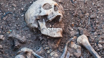 Jako vražda mafie: Hrozivý způsob smrti, kdy se člověk sám uškrtí, se praktikoval už před 5500 lety