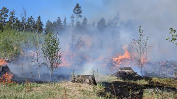 Na Pelhřimovsku hoří 12 hektarů lesa. Byl vyhlášen třetí stupeň požárního poplachu