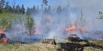 Na Pelhřimovsku hoří 12 hektarů lesa. Byl vyhlášen třetí stupeň požárního poplachu