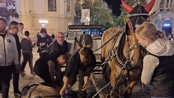 Snímek zhrouceného koně na Staroměstském náměstí vyvolal prudký ohlas, Hřib fiakry kritizuje