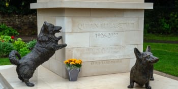 Královně Alžběte II. vztyčili pomník. Pro její milované psy stál jako model pes z Ukrajiny